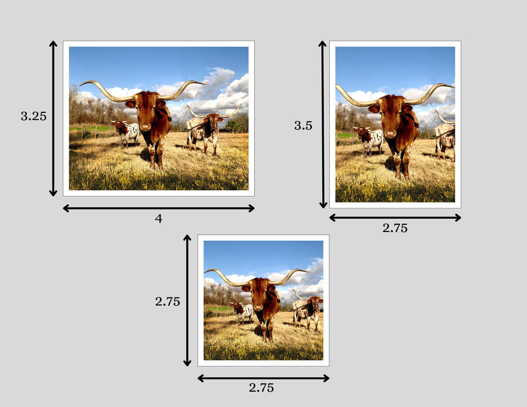 Flexible Photo Magnets