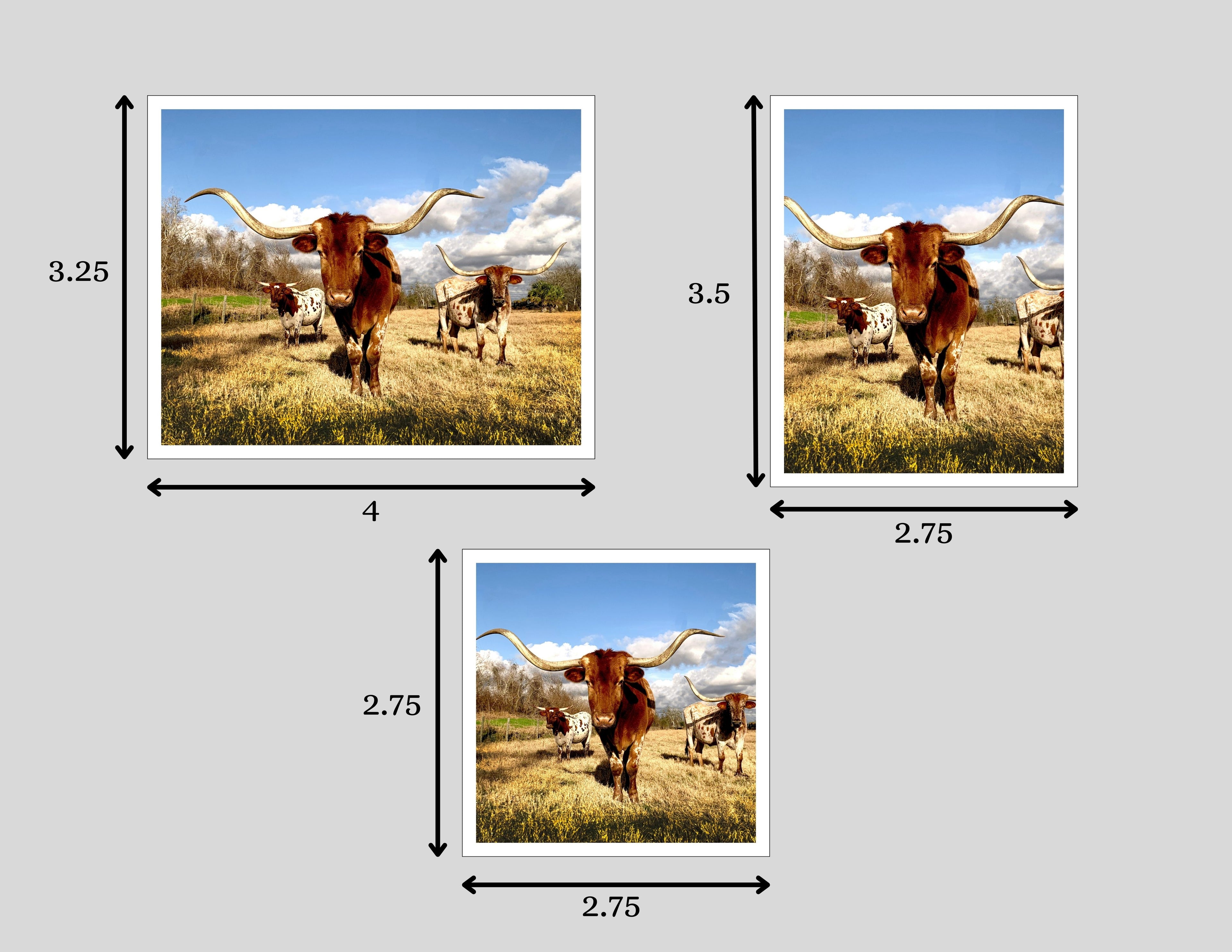 Flexible Photo Magnets