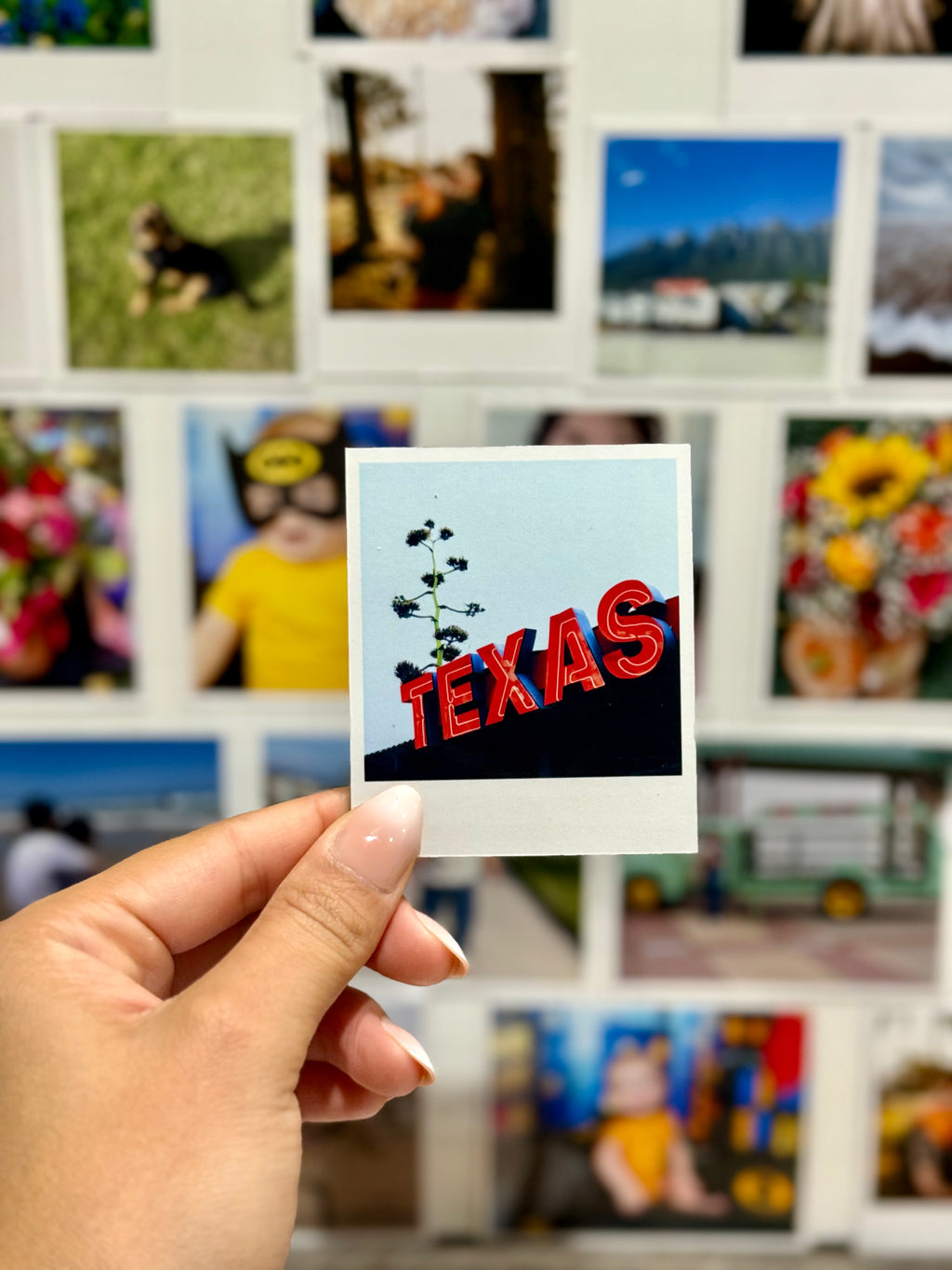Polaroid Magnets