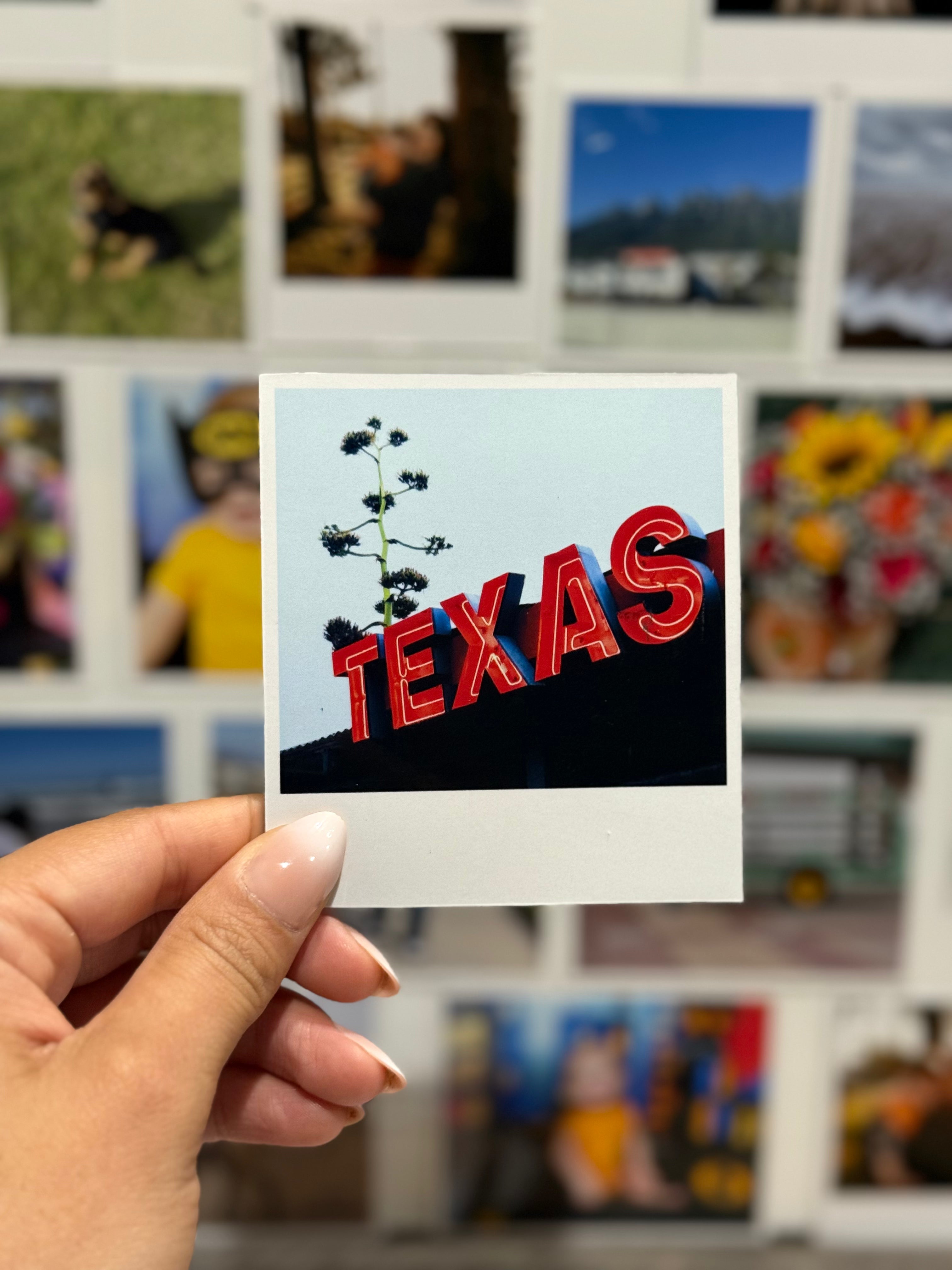 Polaroid Magnets